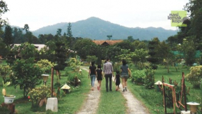 Happy Paradise